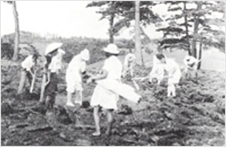 メンバーによる農耕作業